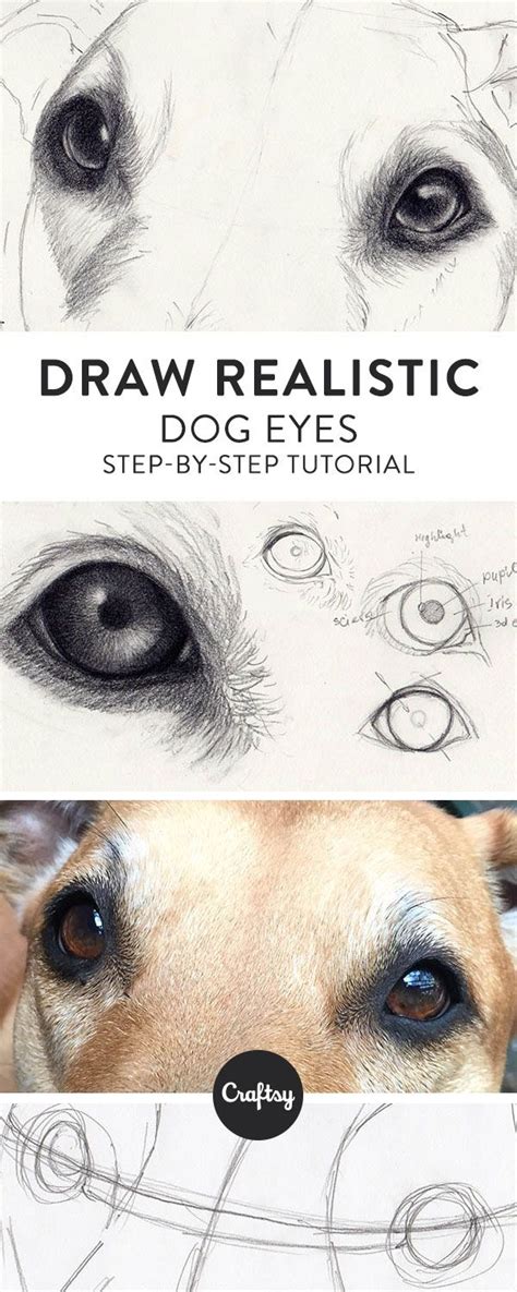 How To Draw A Realistic Dog Eye Today I Worked On This Commissioned