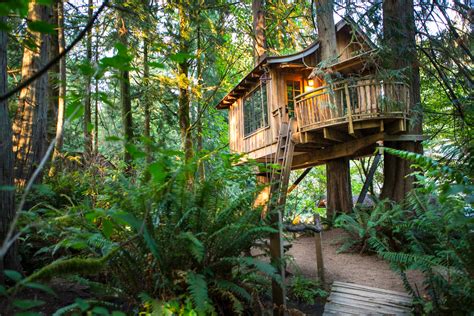 Treehouses You Can Actually Stay In The Points Guy
