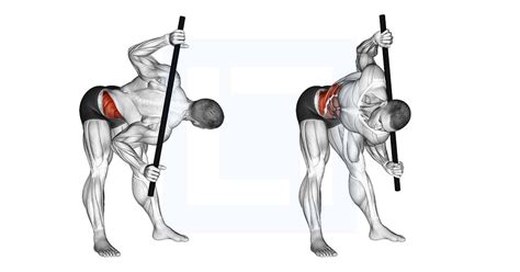 Bent Over Twist Guide Benefits And Form