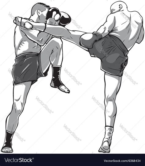 Muay Thai Fighters Royalty Free Vector Image Vectorstock