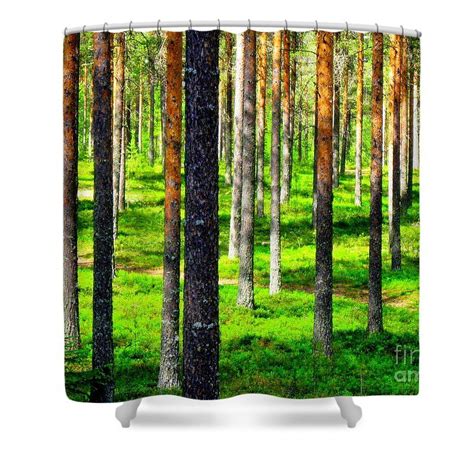 Pine Forest Shower Curtain By Pauli Hyvonen