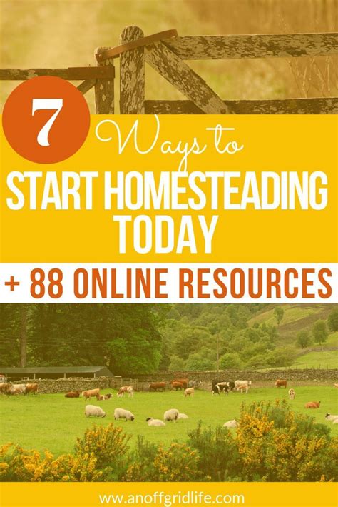 Start Homesteading Today With These 7 Tips To Use Right Where You Are