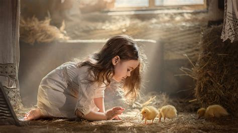 Little Cute Girl Is Playing With Little Chickens Wearing White Dress In