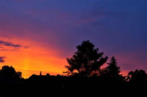 Free Images Tree Horizon Cloud Sunrise Sunset Dawn Atmosphere