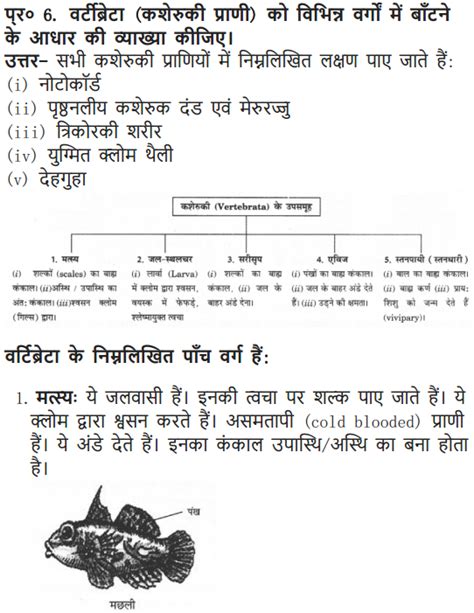 Ncert Solutions For Class 9 Science Diversity In Living Organisms