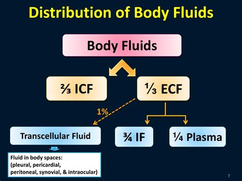 Ppt Body Fluids Homeostasis And Membrane Transport Powerpoint