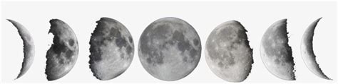Moon Png Free Download Moon Phases White Background Transparent Png
