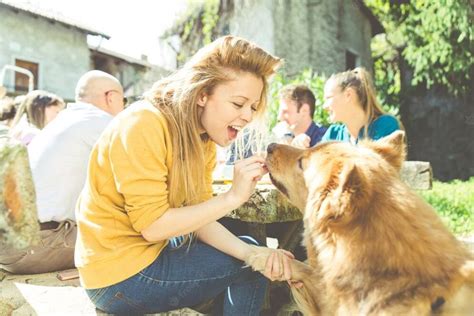 Un Estudio Revel Que Las Personas Que Hablan Con Sus Mascotas Tienen Una Cualidad Excepcional