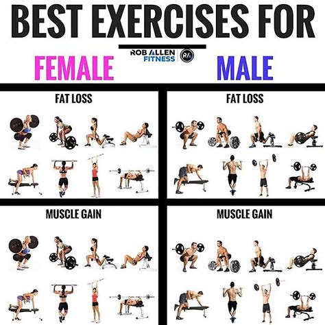 Most Effective Exercises For Fat Loss And Muscle Gains