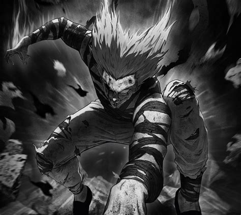 Anime Wallpaper Hd Garou One Punch Man Wallpaper Images And Photos Finder