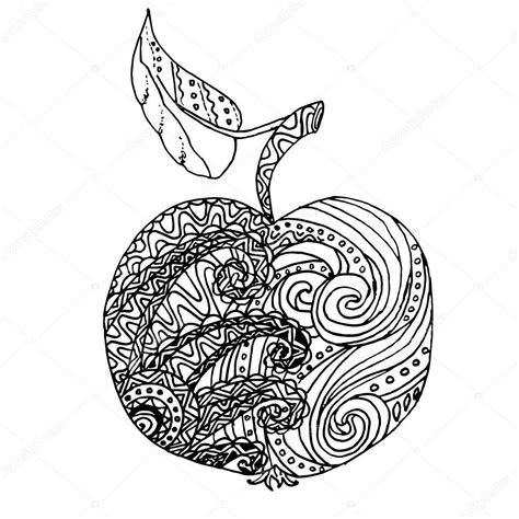 Zentangle Stylized Hand Drawn Apple Black White Hand Drawn Vector 