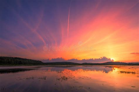 Beautiful Summer Sunset Over The Lake Stock Image Image Of Coast
