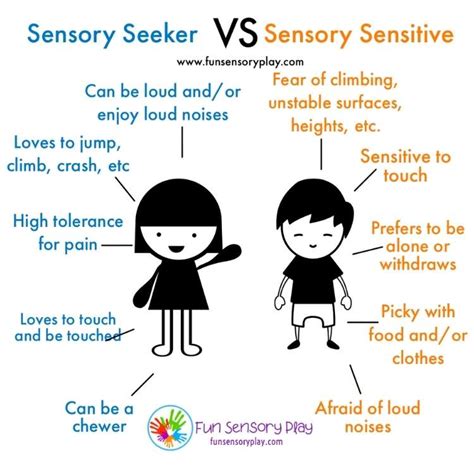 What Is The Difference Between Sensory Seeking And Sensory Sensitive