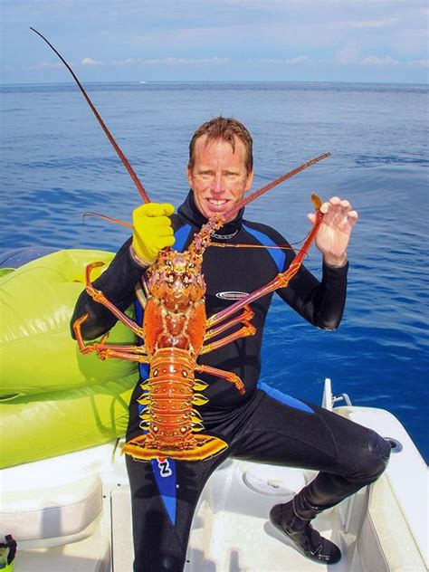 Regular Spiny Lobster Season Opens Aug 6 Coastal Angler Magazine