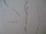 Pictures of Termite Trails On Walls