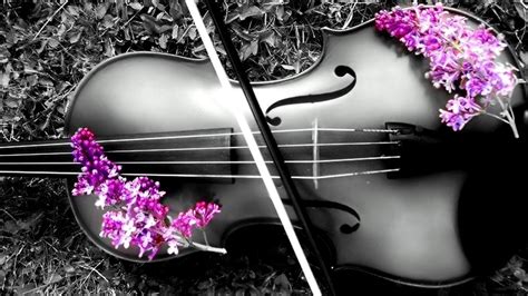 Cool Violin Wallpapers Top Free Cool Violin Backgrounds Wallpaperaccess