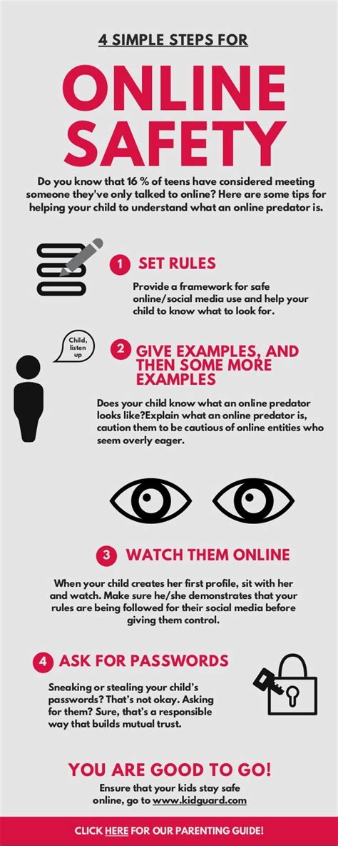 Steps To Online Safety Infographics