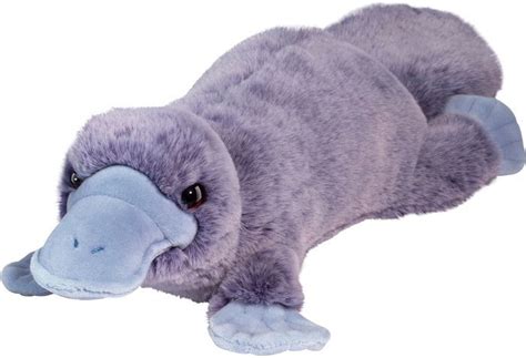 Allie Platypus Soft By Douglas Company Inc Barnes And Noble