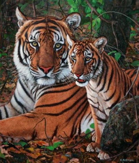 Cuadros Pinturas Oleos Galería Pinturas De Tigres