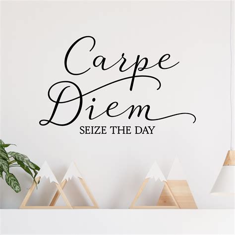 Carpe Diem Seize The Day Vinyl Lettering Wall Decal Removable Sticker Inspirational Decals