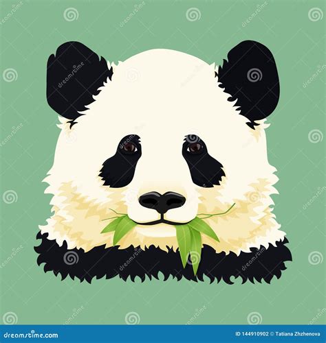 Cartoon Portrait Cute Giant Panda Chewing Green Bamboo Leaves Stock