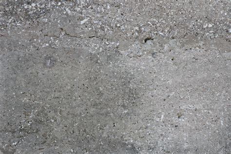 803 free images of concrete texture. Shell Concrete Texture - 14Textures