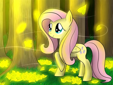 Fluttershy My Little Pony Friendship Is Magic Fan Art 35157882 Fanpop