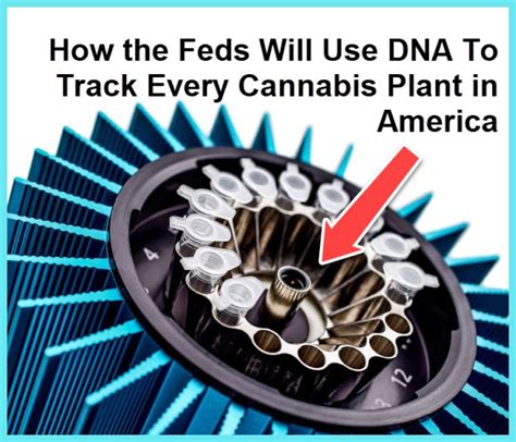 How The Feds Will Use Dna To Track Every Cannabis Plant In America