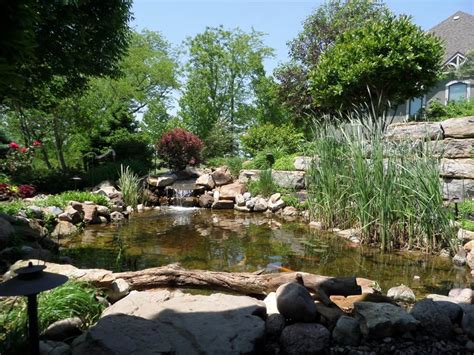 See restaurant menus, reviews, hours, photos, maps and directions. Tending to your pond landscape during fall in Kearney ...