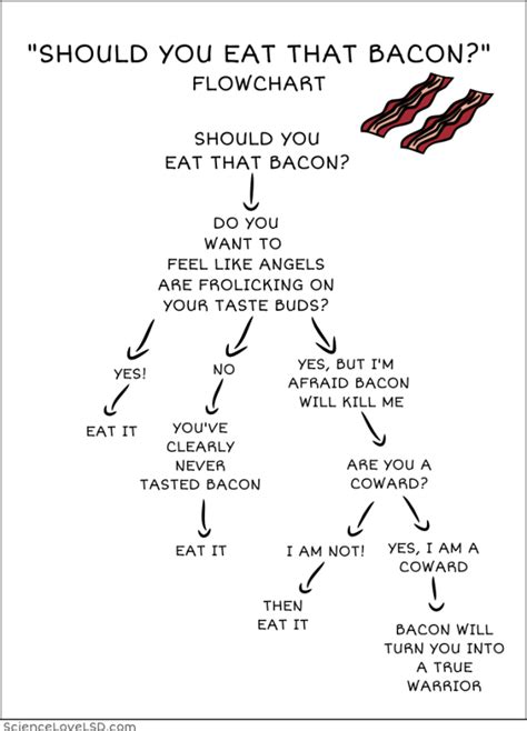 The Diagram Shows How Bacon Should Be Cooked