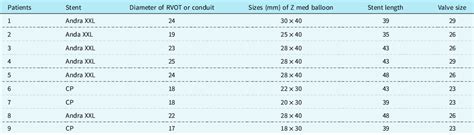 First Experiences With Myval Transcatheter Heart Valve System In The