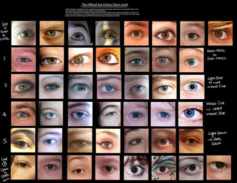 Eye Colour Chart By Delpigeon On Deviantart