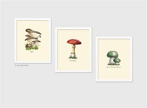 Mushroom Varieties Print Food Print Mushroom Chart Etsy Canada