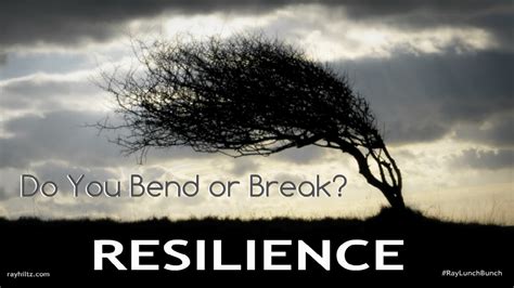 Word Of The Week 608 Resilience Fun Damentals By Susan Clarke