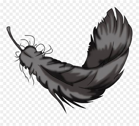 Download Twin Drawing Feather Raven Feather Drawing Clipart 1484519