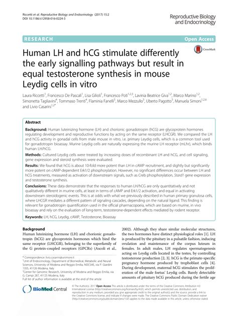 Pdf Human Lh And Hcg Stimulate Differently The Early Signalling Pathways But Result In Equal