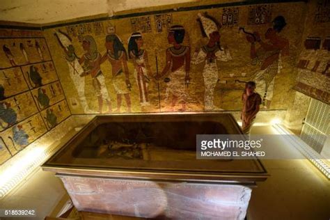Tutankhamun His Tomb And His Treasures Photos And Premium High Res