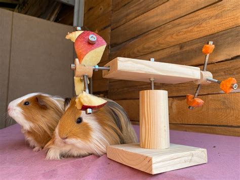 Guinea Pig Double Feeder Wheel Guinea Pig Toys Accessories Etsy
