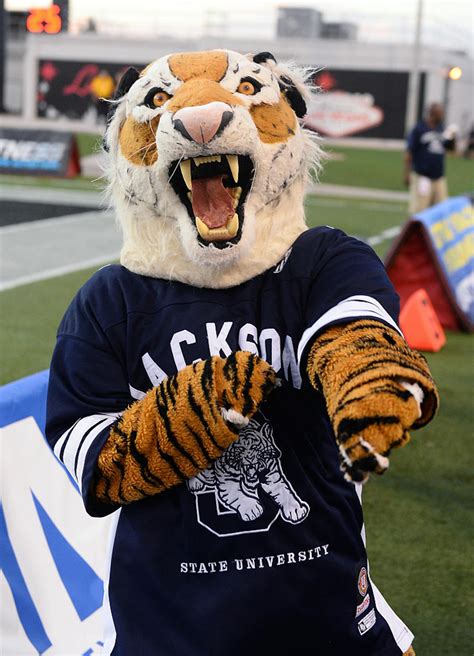 College Mascot Gets Unsportsmanlike Conduct Call Against It Iheart