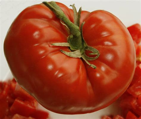 Large Red Tomato A Comprehensive Guide World Tomato Society