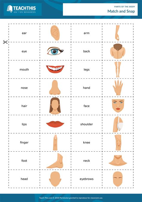 Parts Of The Body English Activities For Kids Body Parts For Kids