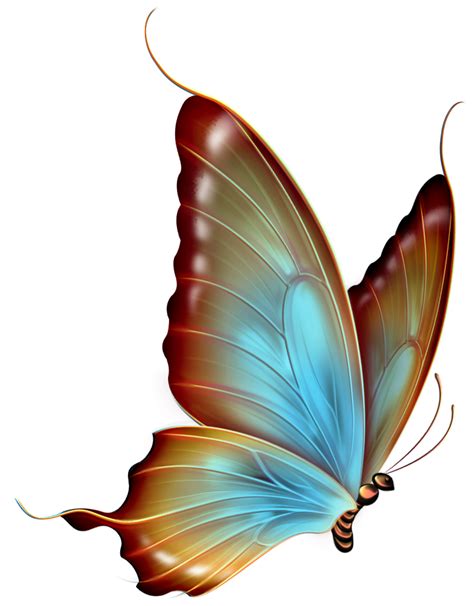 Butterfly Cartoon Clip Art