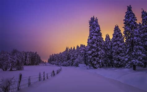 Winter Road At Sunset Hd Wallpaper Background Image 1920x1200 Id