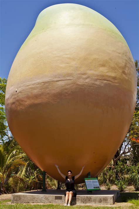 Mango Alert Australians Puzzle Over Huge Stolen Fruit The Two Way Npr