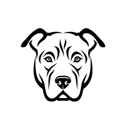 Dog head bully in a collar with spikes on white background. American Pitbull Terrier Dog Isolated Vector Illustration ...