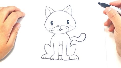 Como Dibujar Un Gatito Para Niños Dibujo De Gatito Paso A Paso Youtube