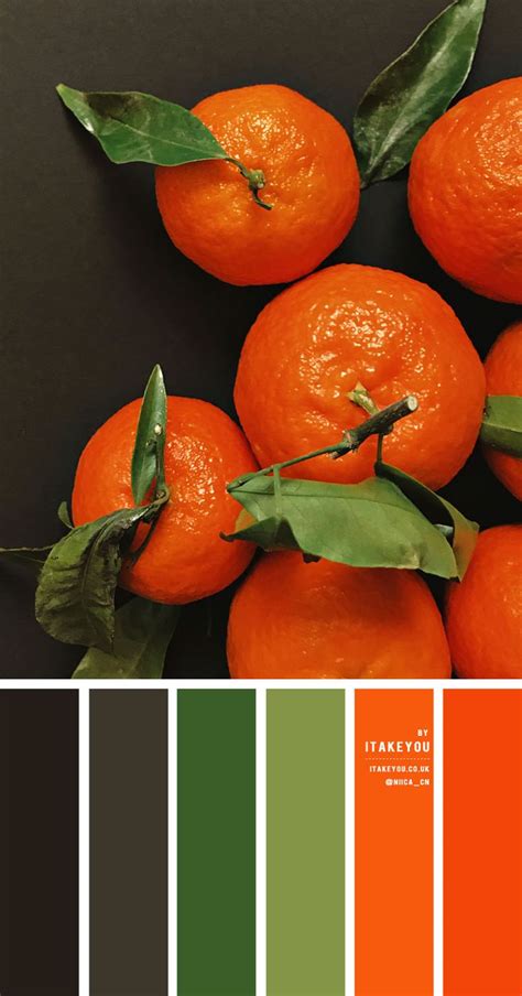 Black Green And Orange Color Scheme Color Palette 29 Orange Color