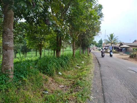 Tanah Strategis Pinggir Jalan Raya 1 Ha Dijual Murah Di Purwakarta