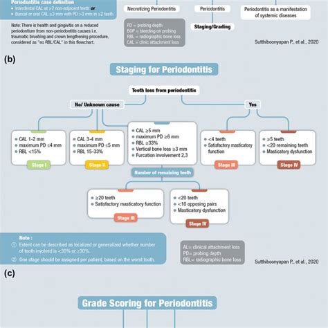 The Simple Flowcharts For Easy Periodontal Diagnosis The Flowchart For Download Scientific