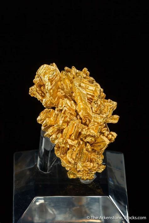 Gold Jb17 1922 Serra De Caldeirao Brazil Mineral